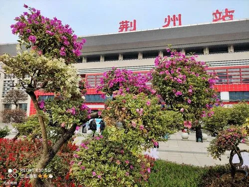 泉州到荆州物流专线-泉州到荆州货运-优势线路-佳速物流